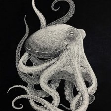 Великолепные работы художницы Масайо Фукуда