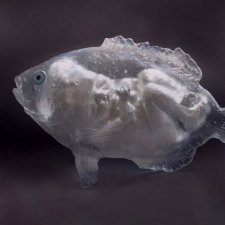 Невероятные работы от автора Christina Bothwell