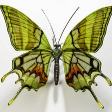 Стеклянные бабочки и цветы Laura Hart ☝️