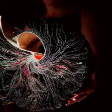 Книжные скульптуры от Jacqueline Rush Lee