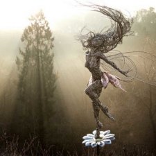 Скульптуры из проволоки от автора Робин Уайт