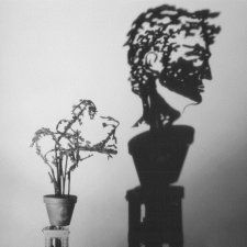 Теневые инсталляции от Diet Wiegman