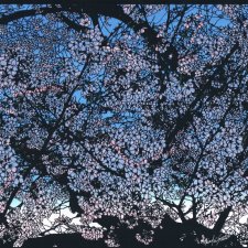 Бумажное искусство от Хироки Сайто (Hiroki Saito)