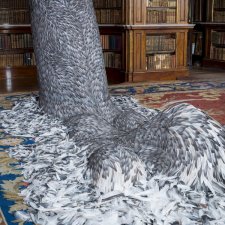 Скульптуры из перьев Кейт МакГвайр (Kate MccGwire)