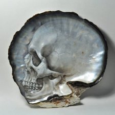 Нежные черепа из перламутровых ракушек от Грегори Халили (Gregory Halili)