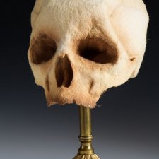 Анатомические препараты из новой коллекции Ланы Крукс (Lana Crooks)