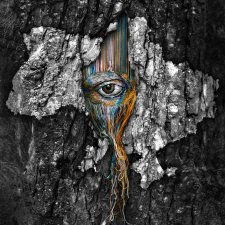 Необычные работы Дианы Евтух