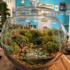 Необычные экосистемы в банках Лина Сирило (Lina Cirilo) и Лаура Гонсалес (Laura Goncales)