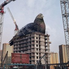 Работы ксеноурбаниста Вадима Соловьёва