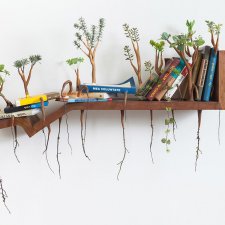 Оригинальные скульптуры из дерева от Камиль Качани (Camille Kachani)