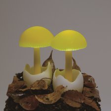 Завораживающие скульптуры из старых коряг от Юкио Такано (Yukio Takano)