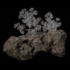 Сочетание грубых камней и изящного стекла в скульптурах Элены Флёри-Рохо (Elena Fleury-Rojo)