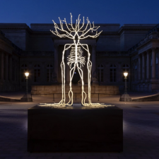 Связь между человеком и природой в работе Прюн Нурри (Prune Nourry)