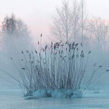 О чем вы думаете, когда покупаете дорогих кукол?