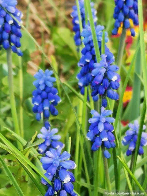 Лелети в весеннем саду — Куклы Annette Himstedt (Аннетт Химстедт): коллекционные (фото 6)