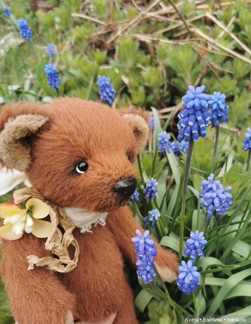 Шоколадный мишка не хочет гулять (фото 2)