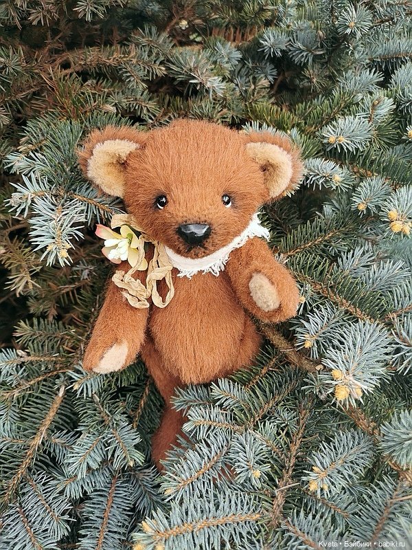 Шоколадный мишка не хочет гулять