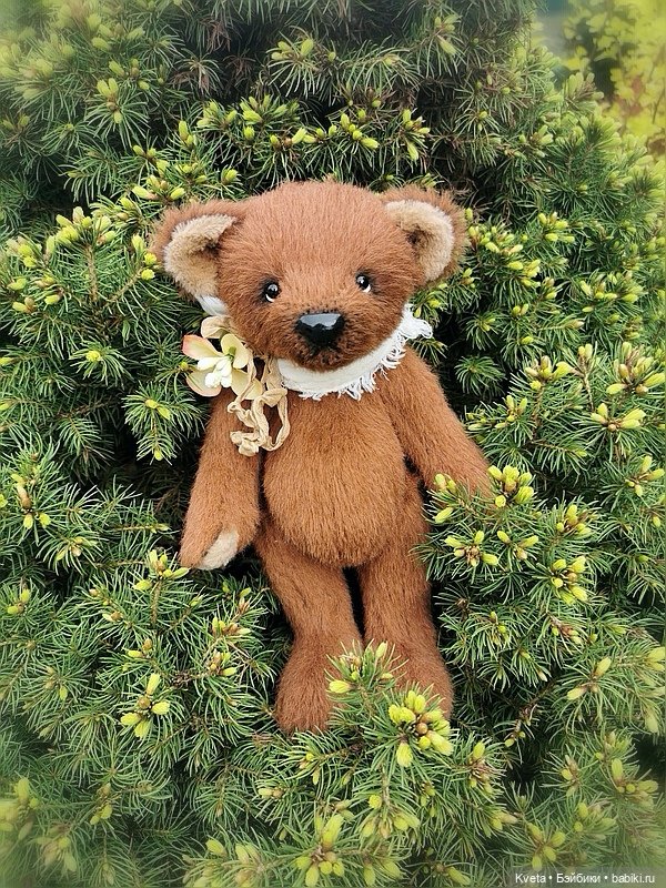 Шоколадный мишка не хочет гулять