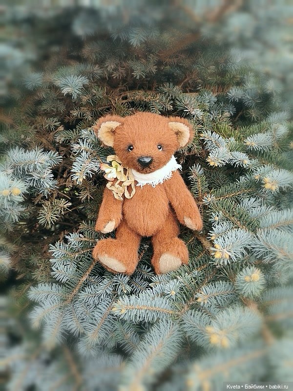 Шоколадный мишка не хочет гулять (фото 9)