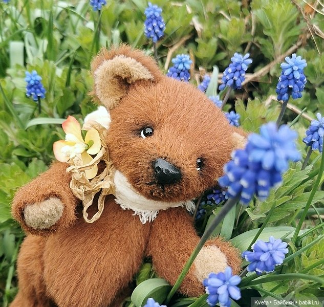 Шоколадный мишка не хочет гулять (фото 3)