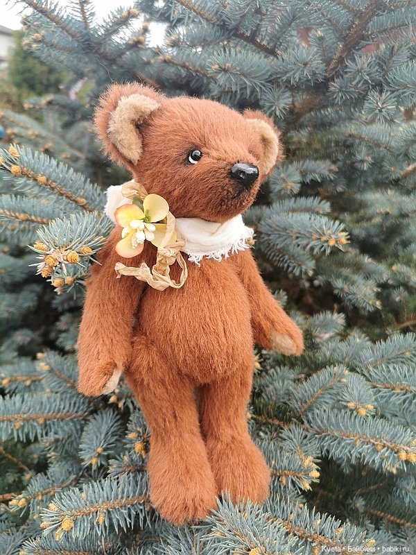 Шоколадный мишка не хочет гулять