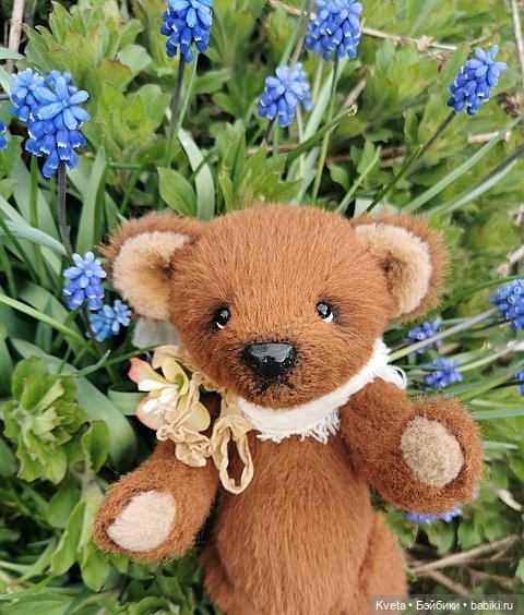 Шоколадный мишка не хочет гулять (фото 5)