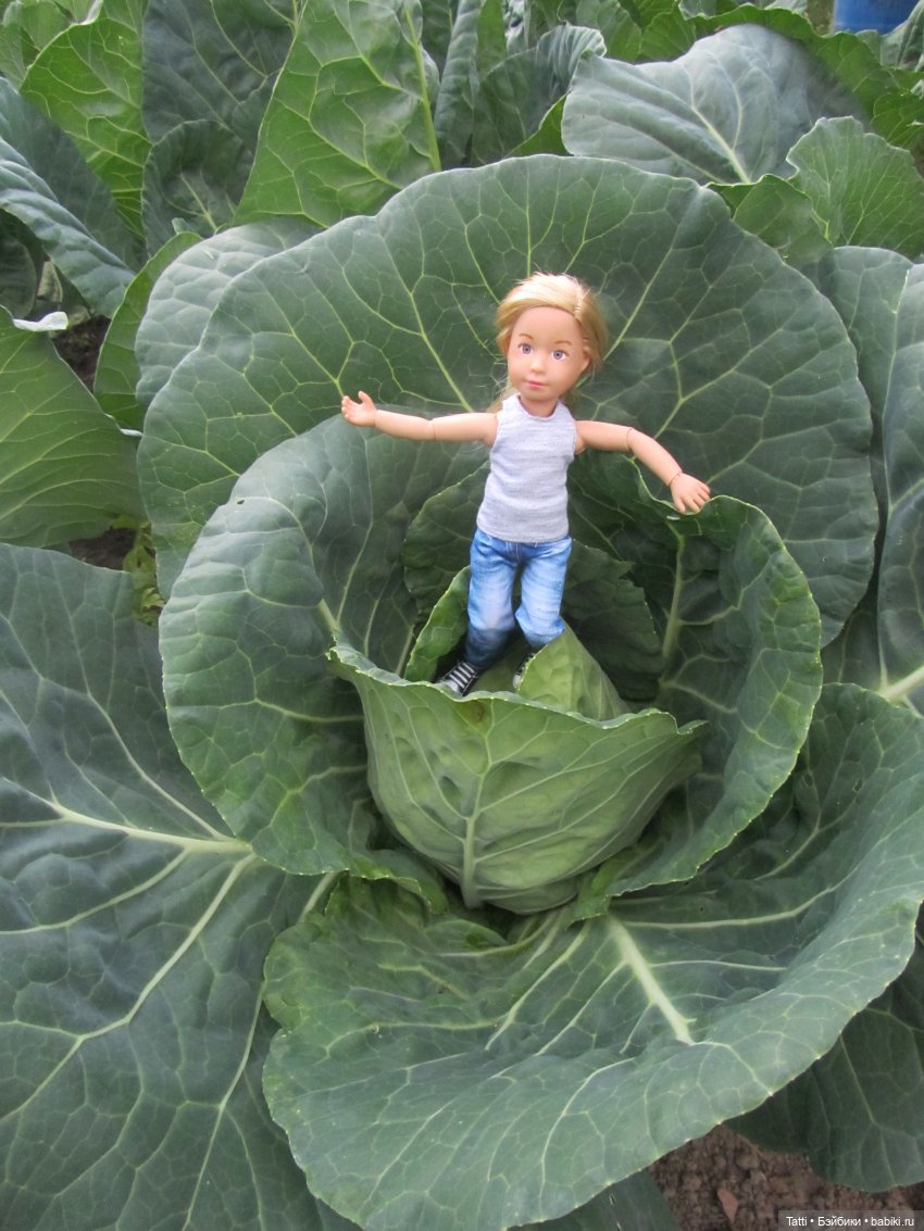 Я родилась в капусте))