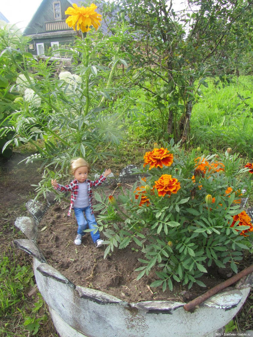 Вера Крузенлинг на даче. Kathe Kruse Kruselings Doll (фото 8)