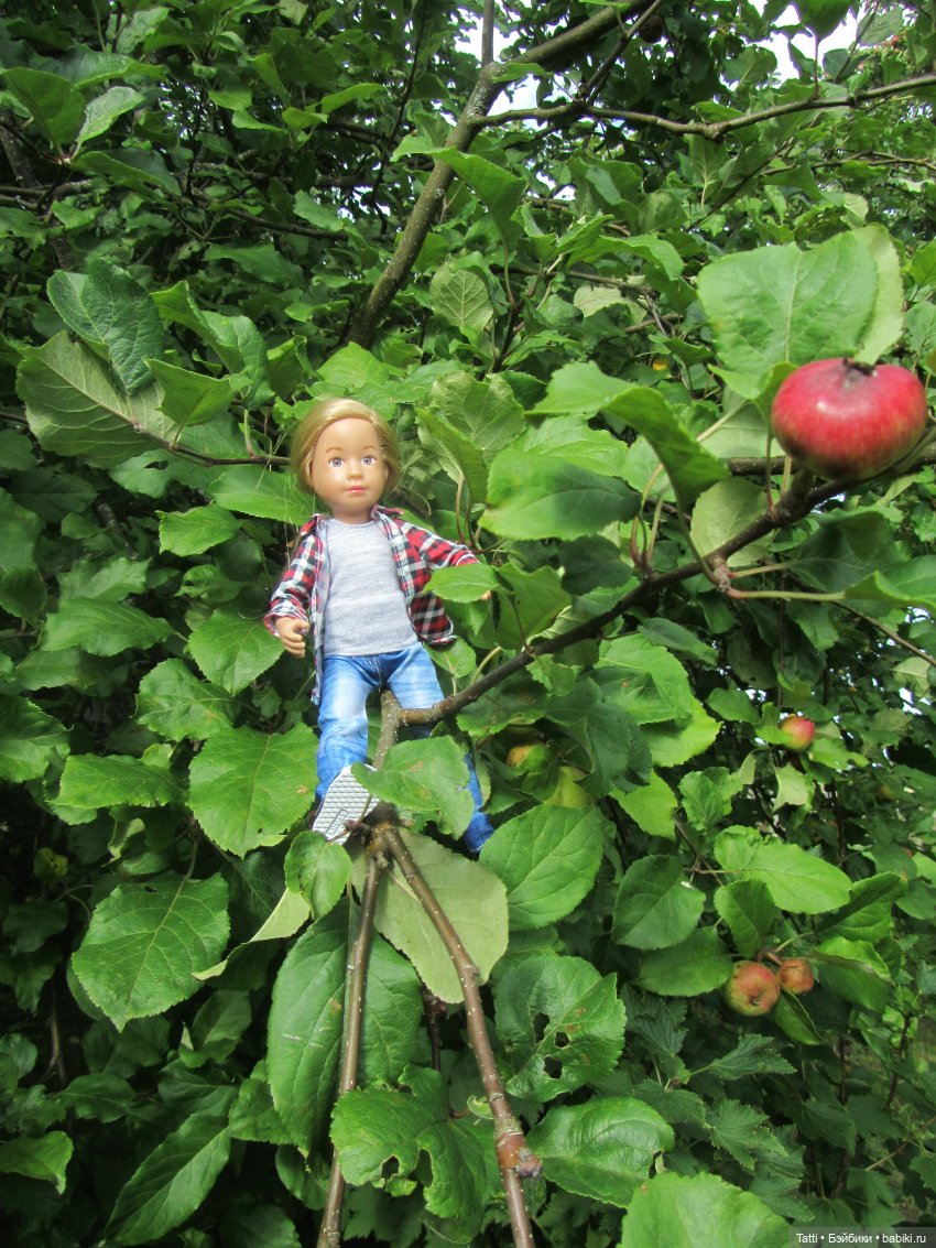 Вера Крузенлинг на даче. Kathe Kruse Kruselings Doll (фото 6)