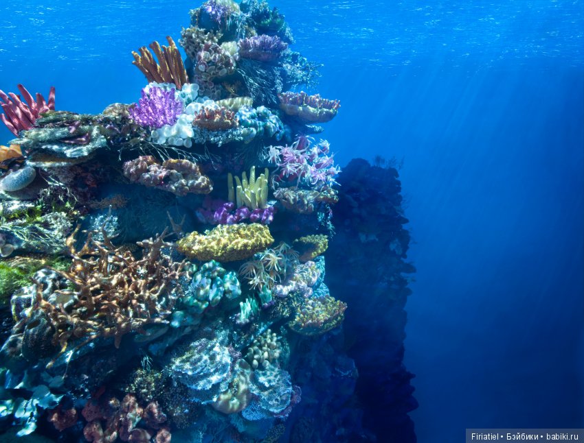 Не верь глазам своим. Придуманные миры Мэтью Альбанезе