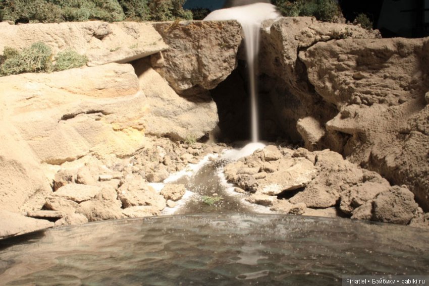 Не верь глазам своим. Придуманные миры Мэтью Альбанезе (фото 10)