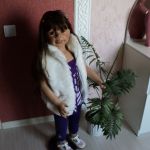 Моя небольшая коллекция