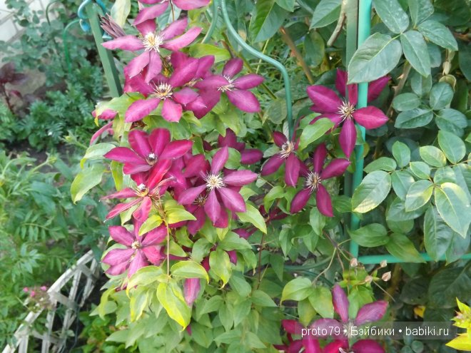 Шоколадка Ния на даче — Испанские куклы (разное): Vestida de Azul