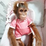Малышка орангутанг от Ashton Drake