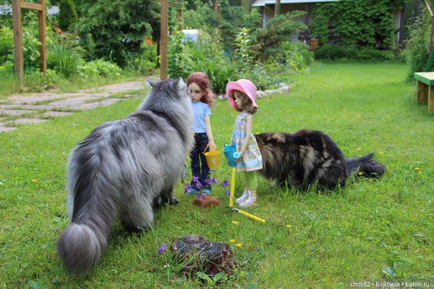 Привет с дачи — Куклы Kaye Wiggs (Кайе Виггс): авторские BJD (БЖД)