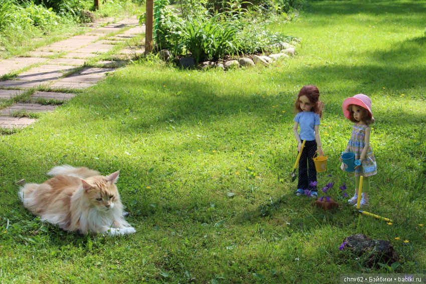 Привет с дачи — Куклы Kaye Wiggs (Кайе Виггс): авторские BJD (БЖД)