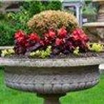 Старый парк.