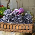 И вновь Франция!