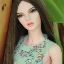 Stella от Iplehause