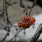 В снежный день .