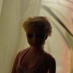 Первые поселенцы моей начинающейся коллекции