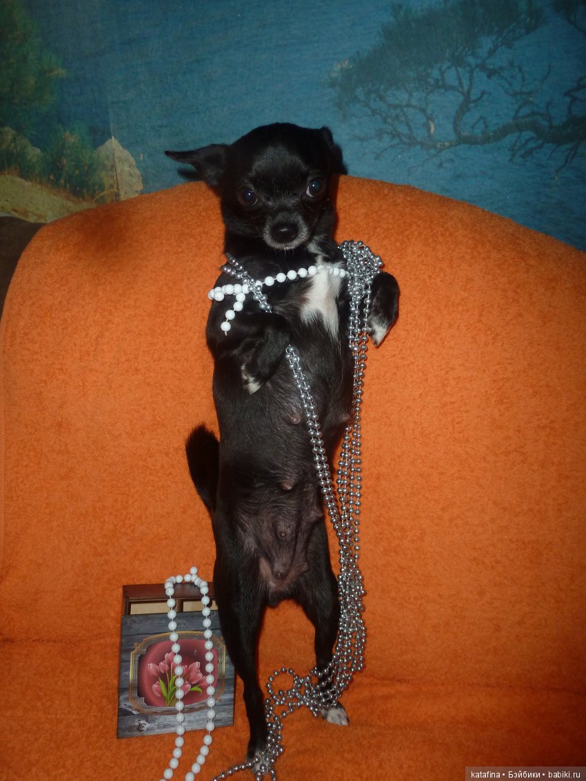 моя Царица)