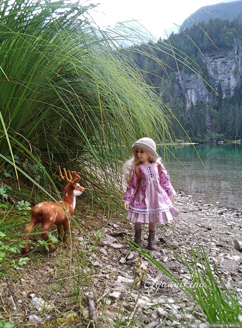 Растут ли Розы в Альпах — Куклы Dollshe Craft (Доллше): BJD (БЖД)