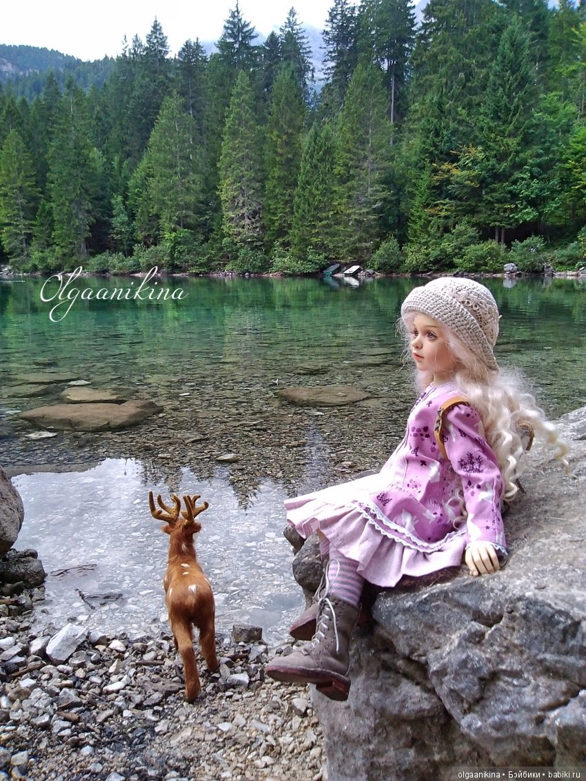 Растут ли Розы в Альпах — Куклы Dollshe Craft (Доллше): BJD (БЖД)