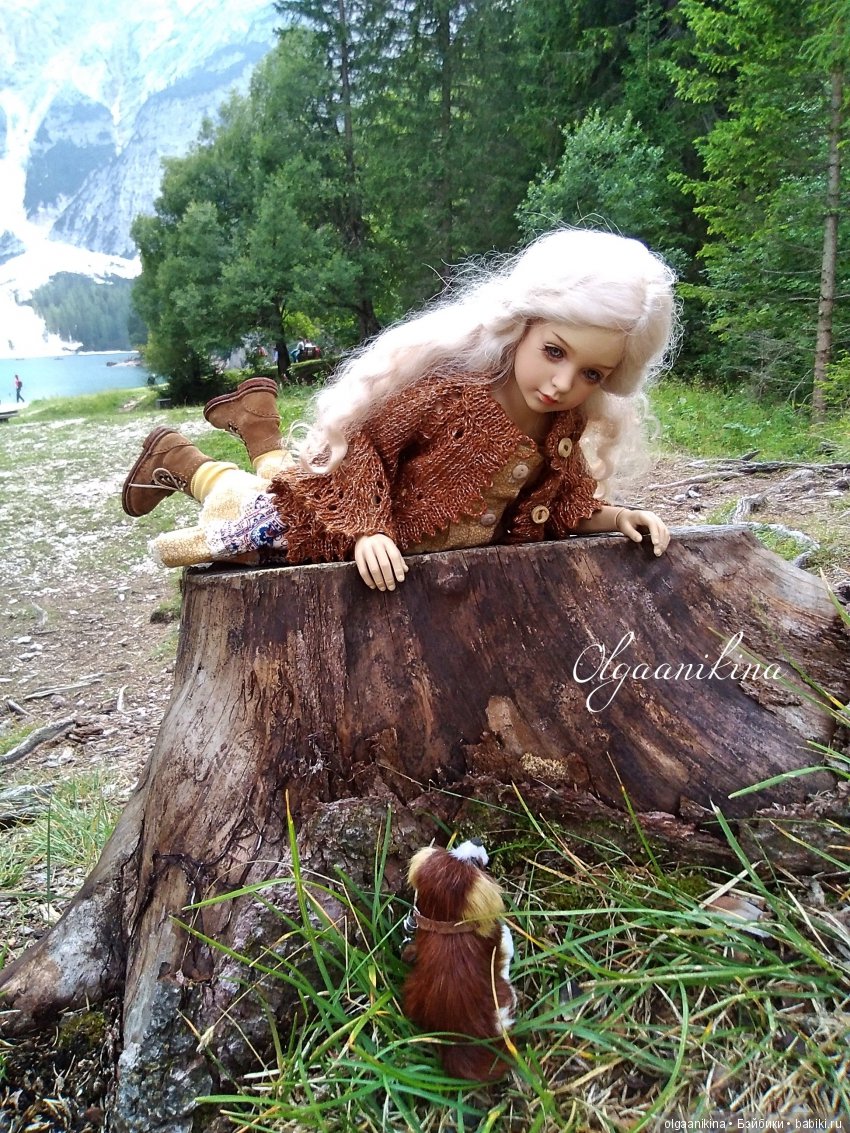 Растут ли Розы в Альпах — Куклы Dollshe Craft (Доллше): BJD (БЖД) (фото 7)