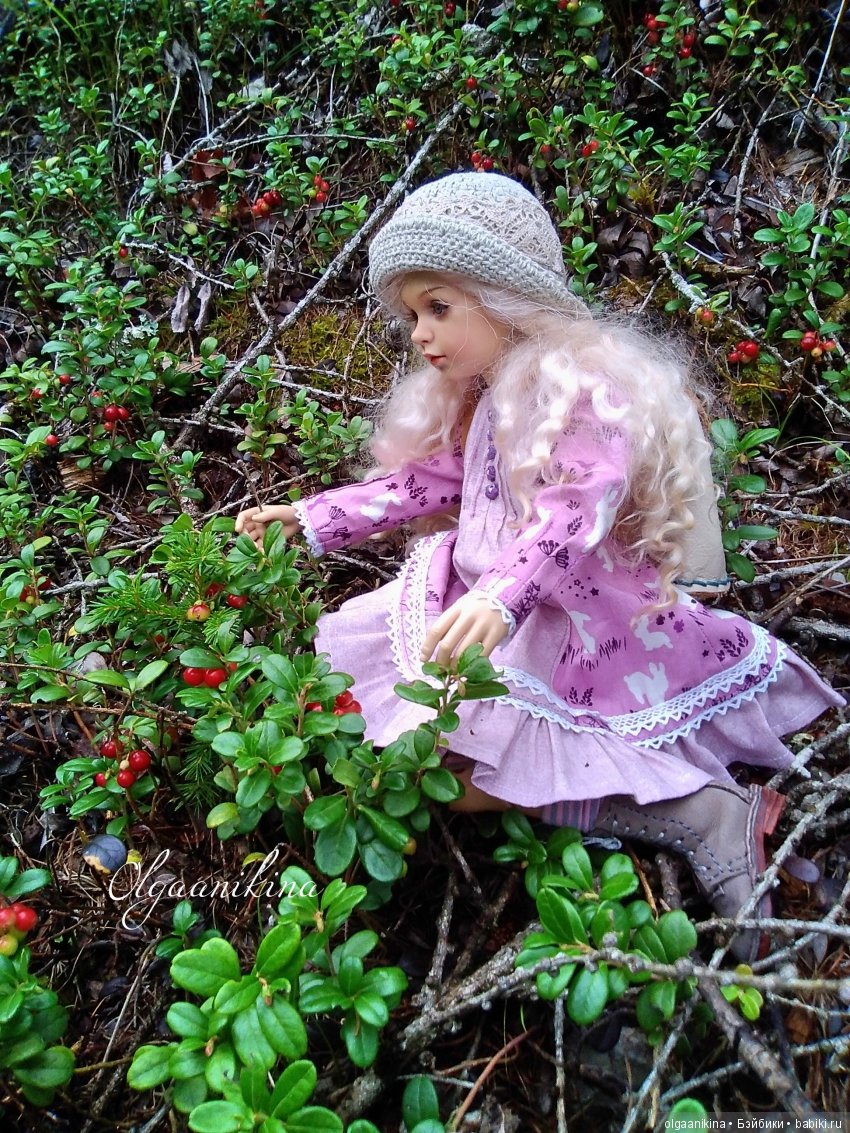 Растут ли Розы в Альпах — Куклы Dollshe Craft (Доллше): BJD (БЖД)