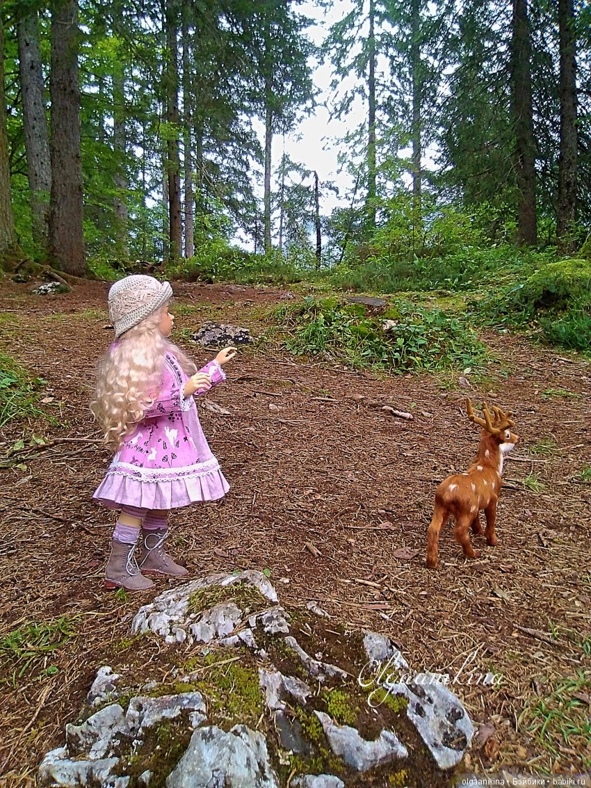 Растут ли Розы в Альпах — Куклы Dollshe Craft (Доллше): BJD (БЖД)