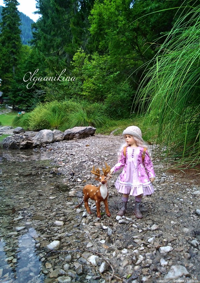 Растут ли Розы в Альпах — Куклы Dollshe Craft (Доллше): BJD (БЖД)