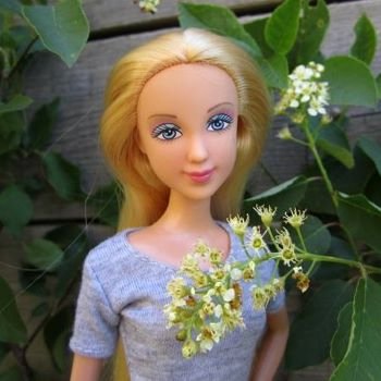 Мои красавицы. Defa Lucy