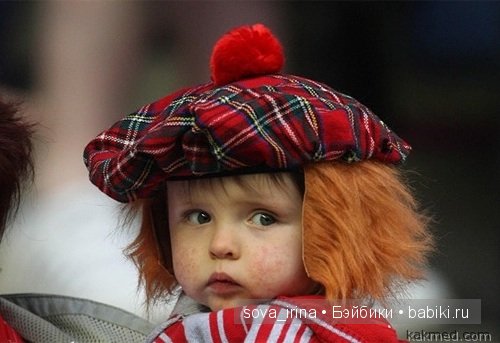 Zwergnase Hansina юбилейная или Анютины глазки василькового цвета